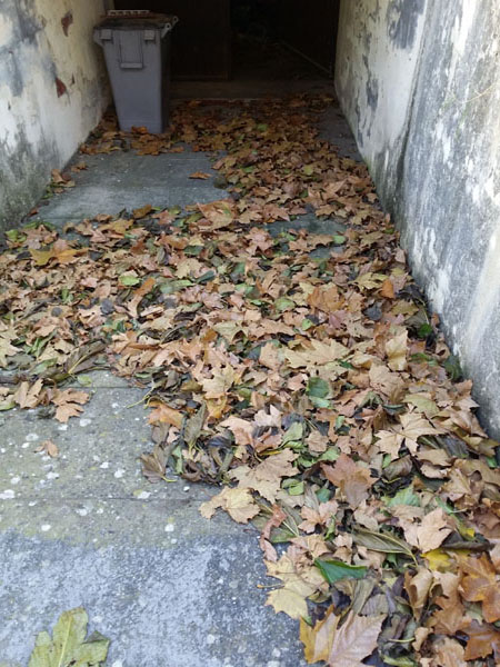 descente cave